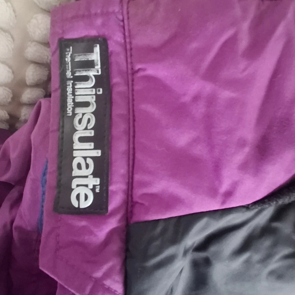 The North Face vintage north